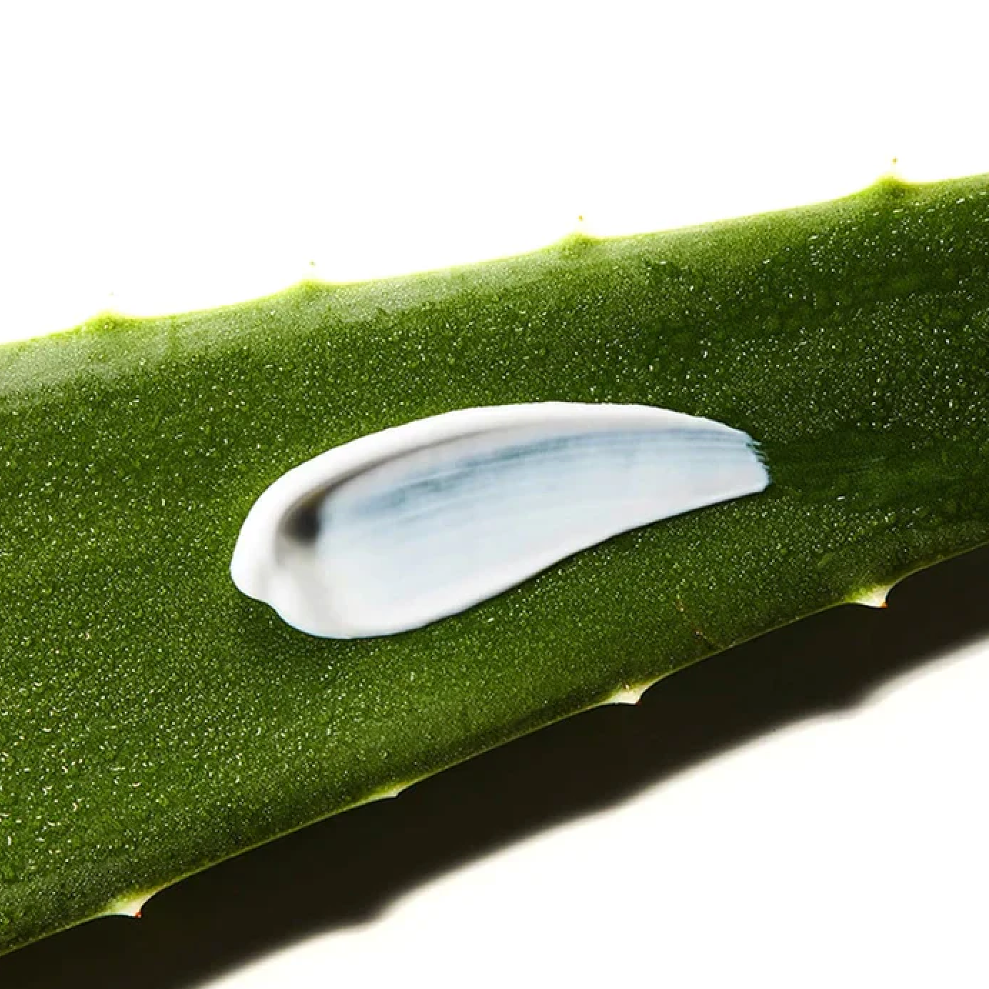 Aloe Soothing Sun Cream SPF50+/ PA+++ - COSRX